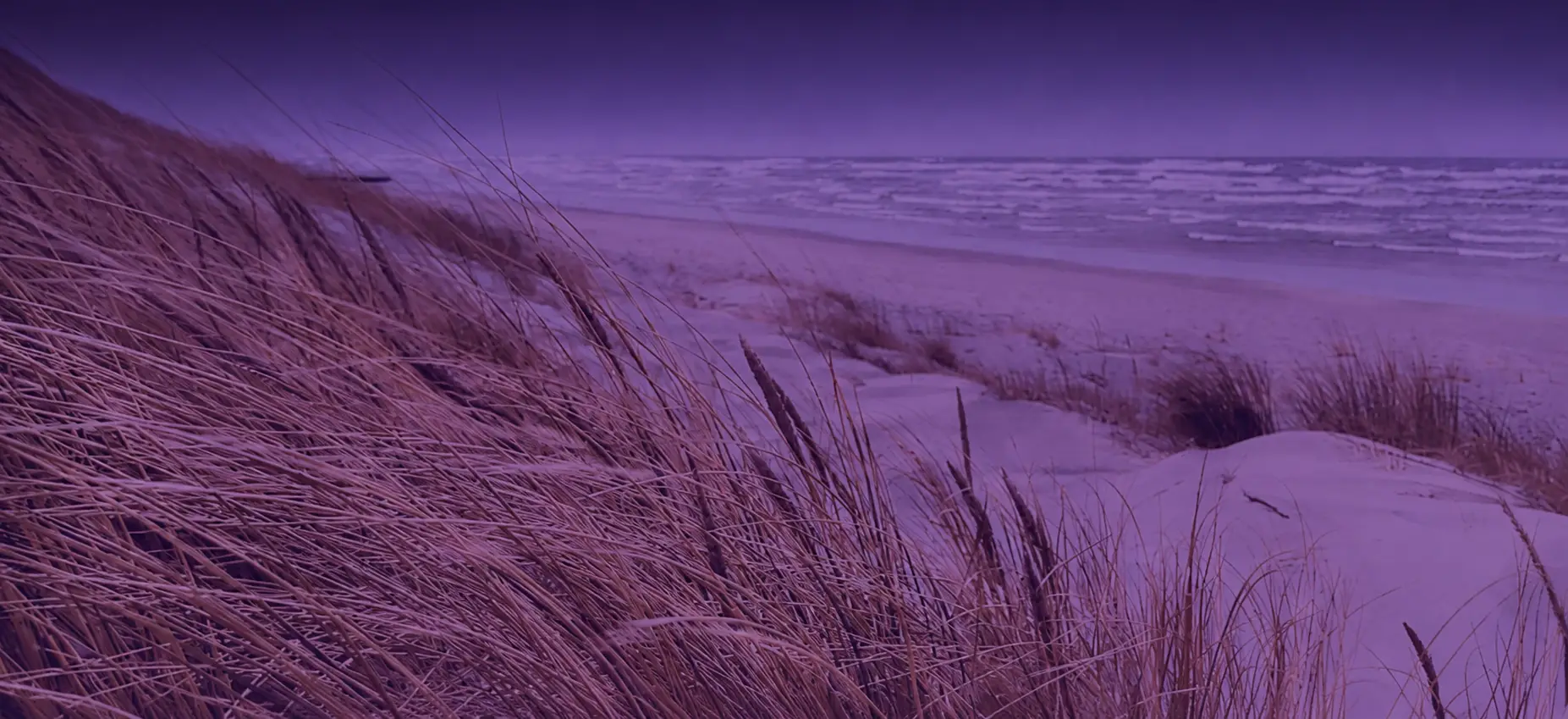 bg_sec_img_contact